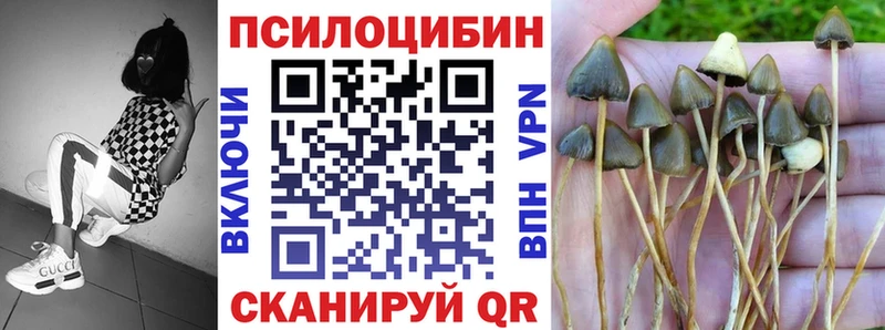 наркотики  Короча  Псилоцибиновые грибы прущие грибы 